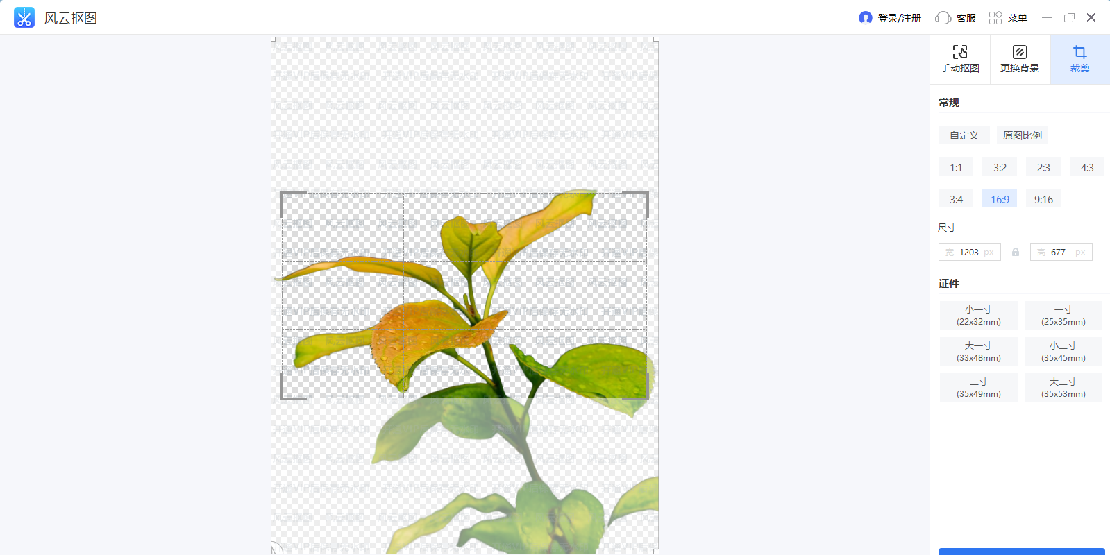 ���ƿ�ͼ��ͼ4