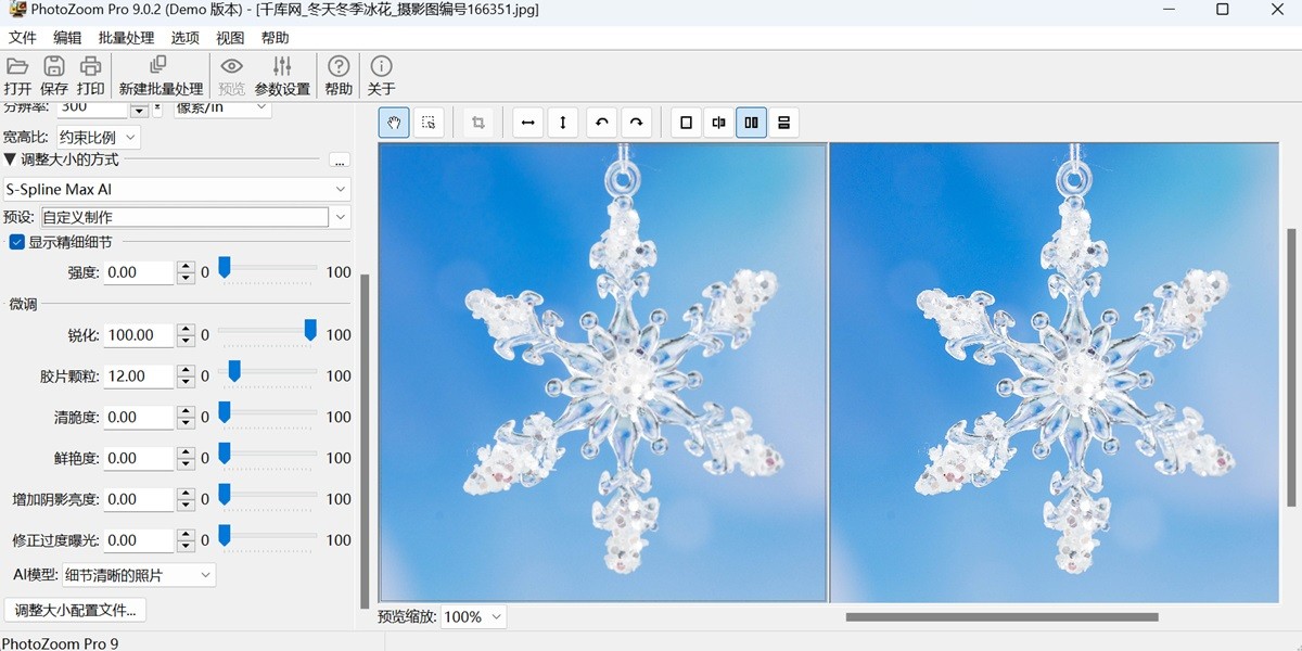 PhotoZoom Pro��ͼ3