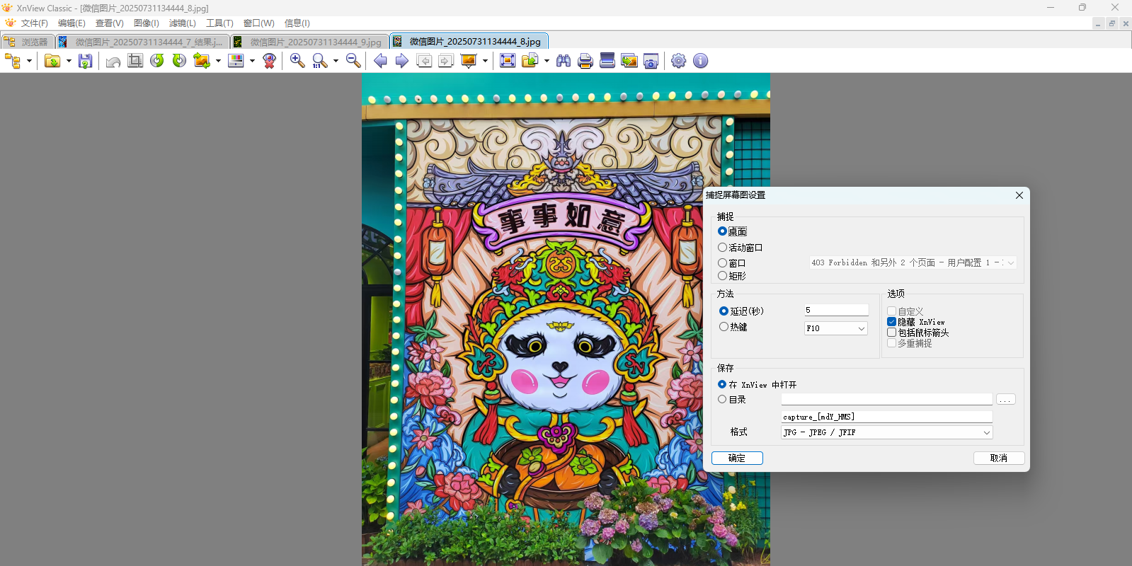 XnView Classic��ͼ4
