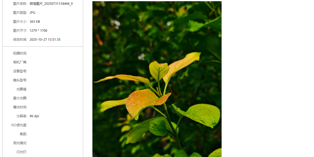 QuickSee�쿴ͼ��ͼ4