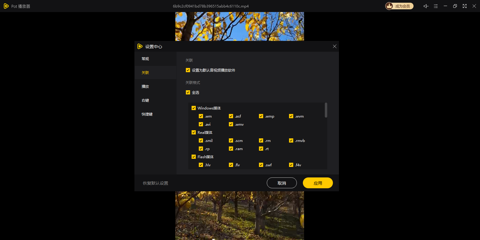 Pot��������ͼ7