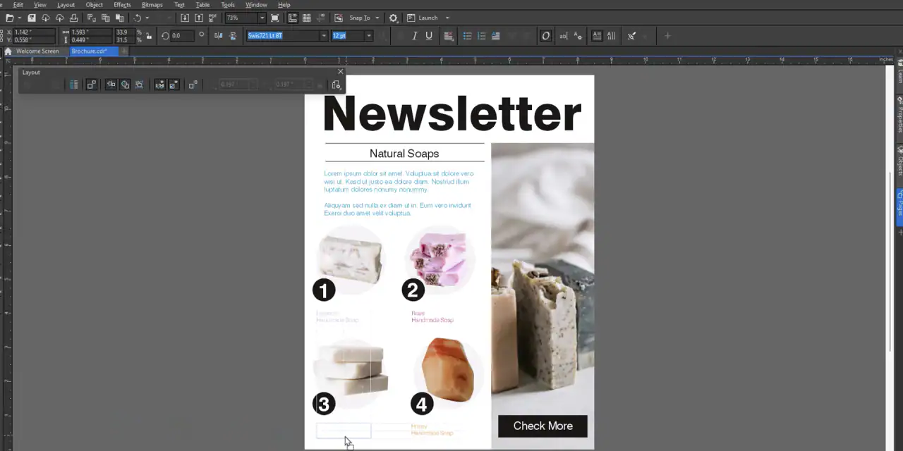 CorelDRAW Graphics Suite��ͼ2